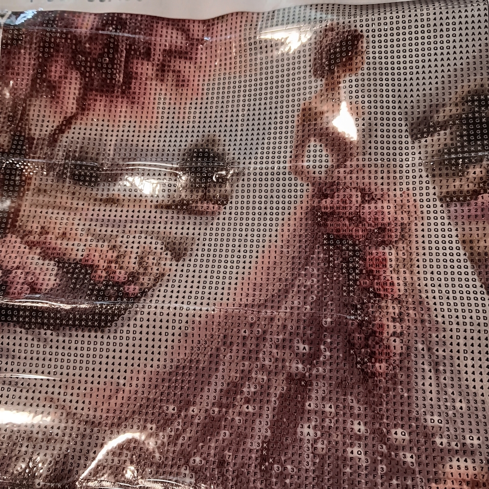 Elegant Pink Bride  Diamond Painting Kit 30x30 - Picture 4 of 5